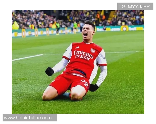 马丁内利的崛起之路：从青训小将到足球明星的华丽转身